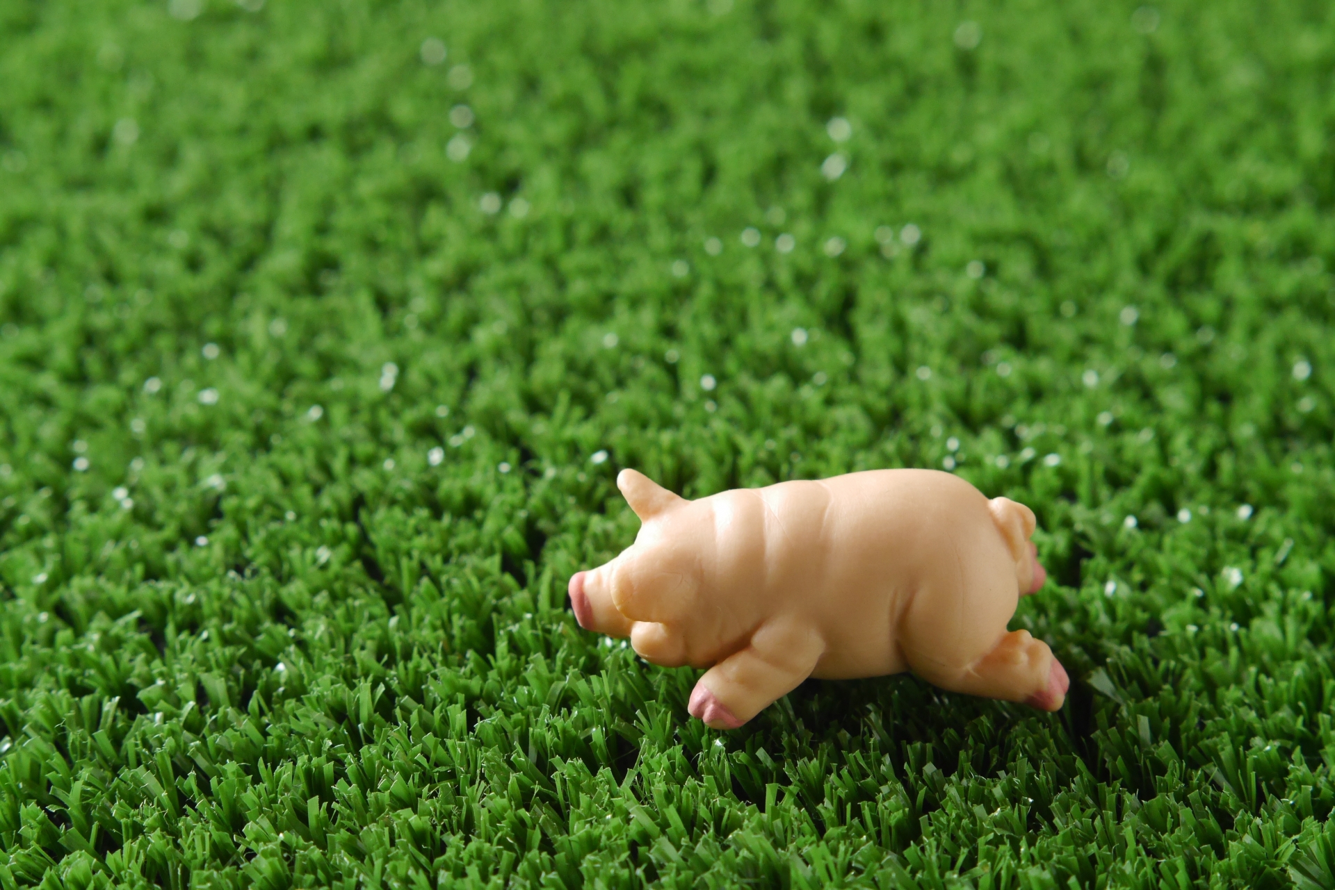 今年の健康診断