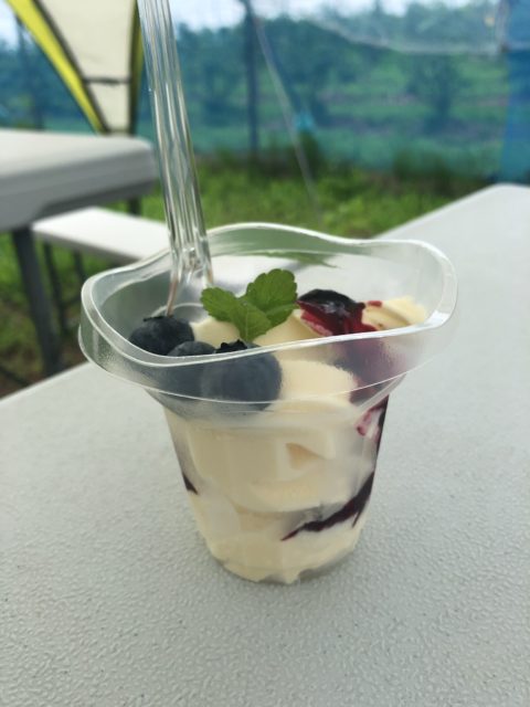 ブルーベリーファームホンダ アイス