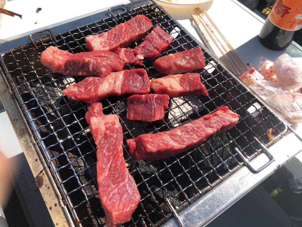 2019花見 五稜郭公園