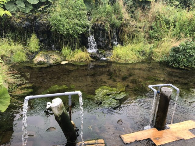 20190714 真狩村 羊蹄山の湧き水