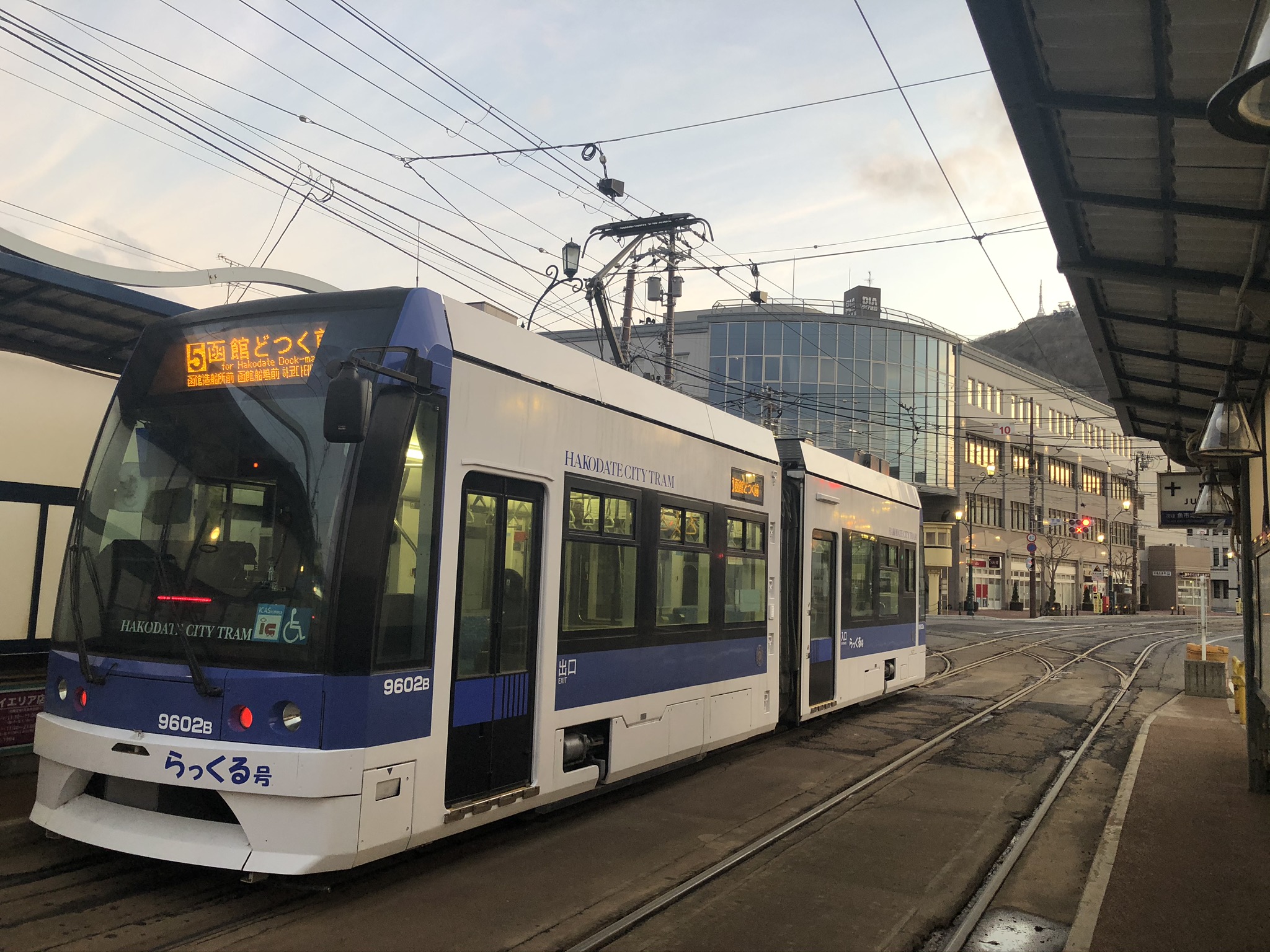 ステイホームです