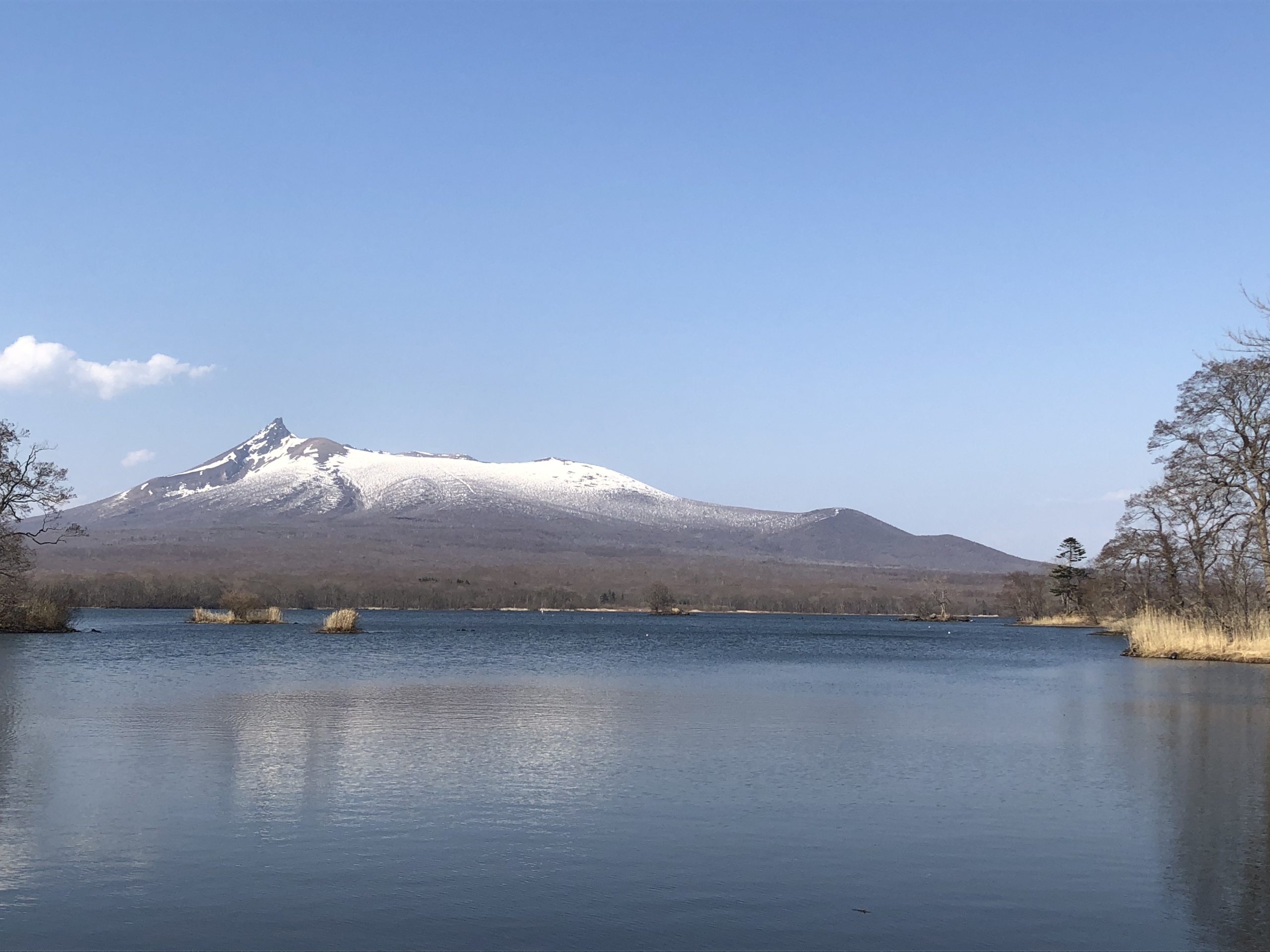 昼も夜も外ゴハン