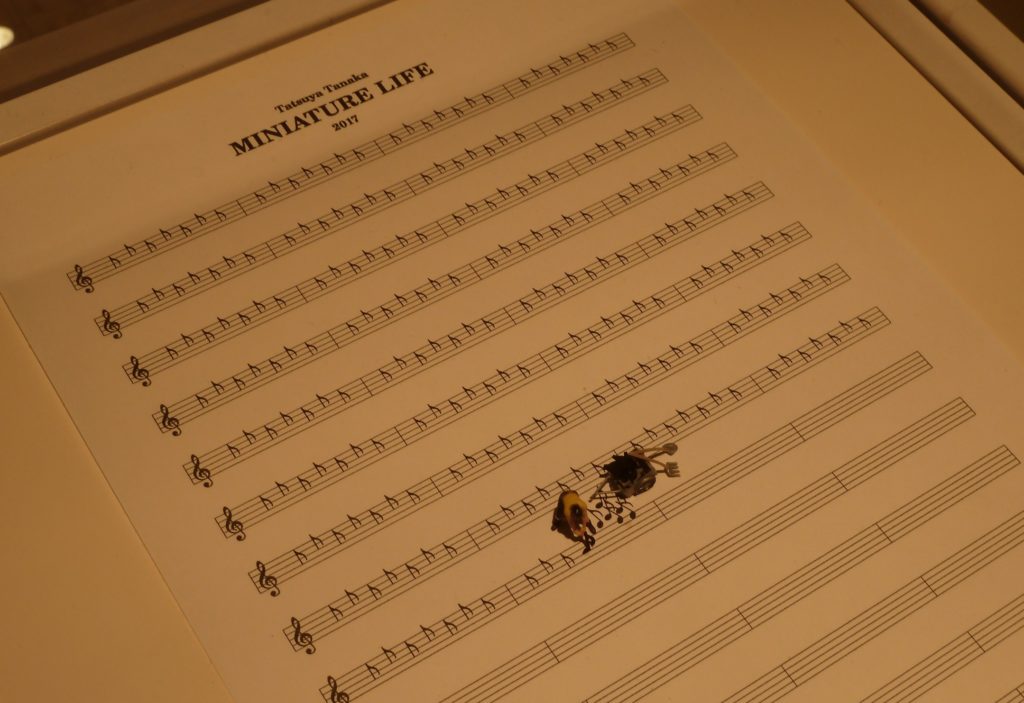 20200816 MINIATURE LIFE展