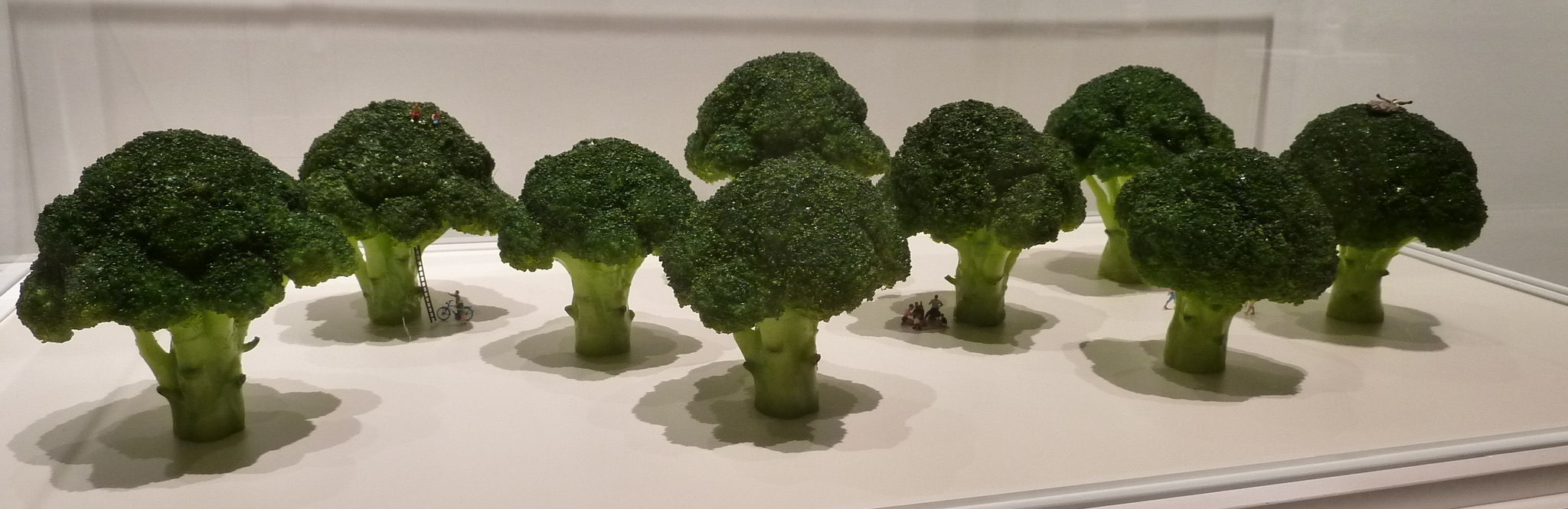 20200816 MINIATURE LIFE展