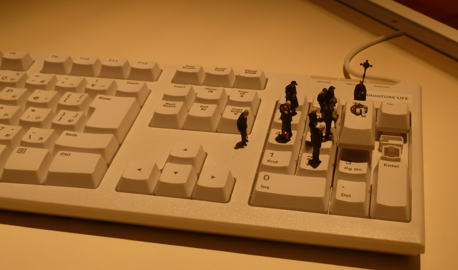 20200816 MINIATURE LIFE展