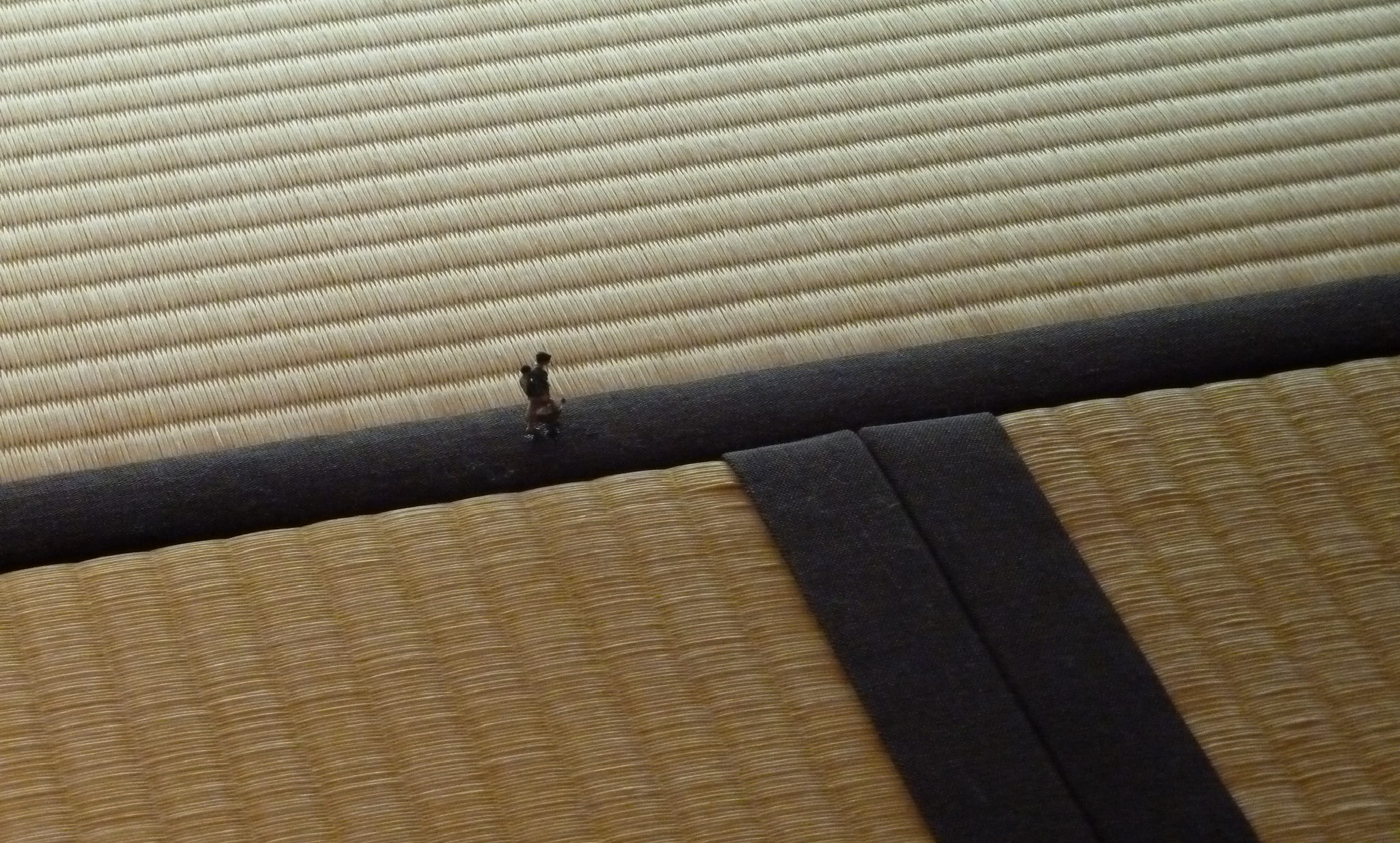 20200816 MINIATURE LIFE展