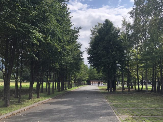 20200916 財田キャンプ場 フリーサイト前道路