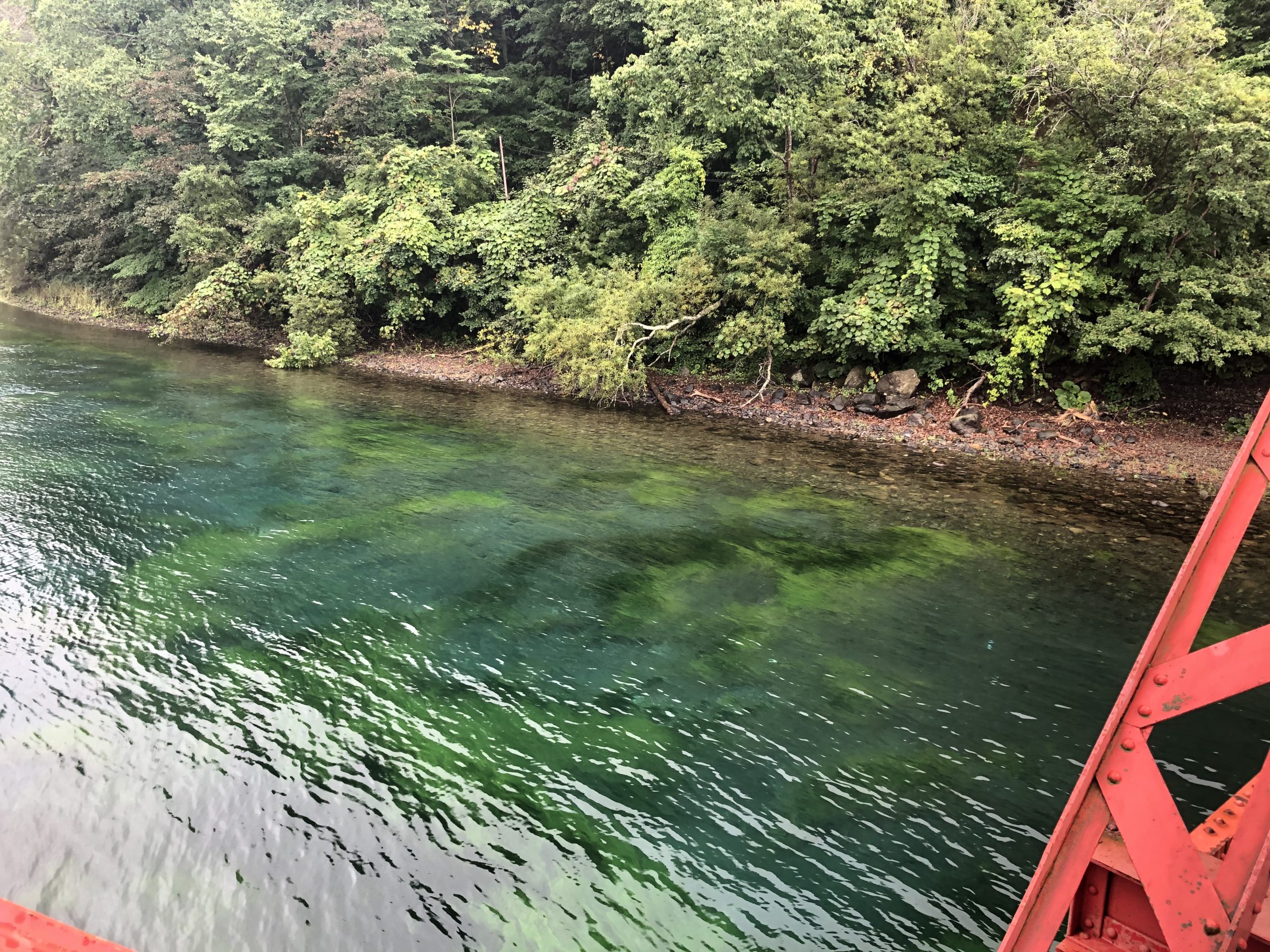 20200917 支笏湖山線鉄橋からの千歳川