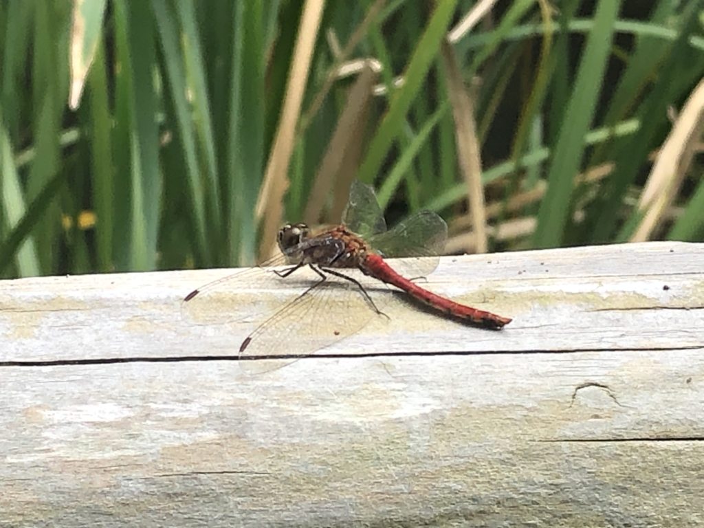 見晴公園(香雪園)にて