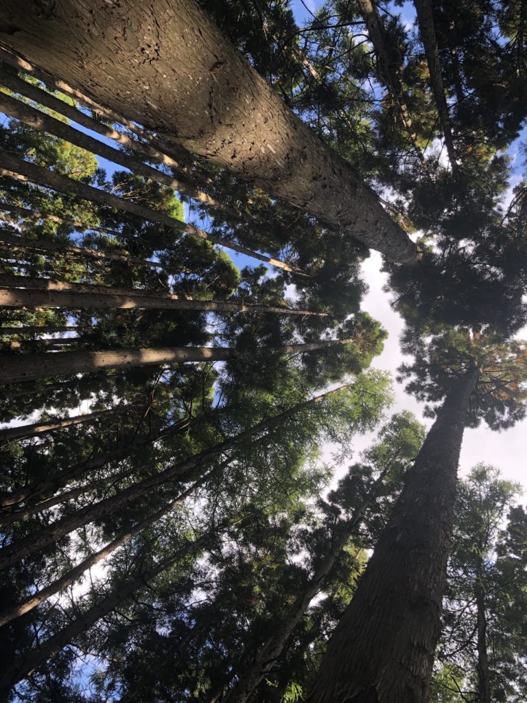見晴公園(香雪園)