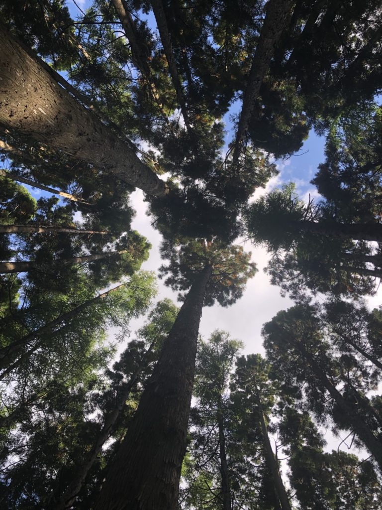 見晴公園(香雪園)